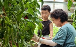 Ông bà có 3 điểm này con cháu vừa sinh ra đã đứng sẵn ở "vạch đích"