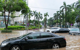La liệt xe ngập nước do mưa bão Kajiki: Điều kiện nào hưởng bảo hiểm bồi thưởng?
