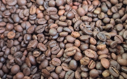 Giá cà phê hôm nay 27-8: Robusta tăng 5 phiên liên tục, cà phê Việt giảm thị phần tại Nhật