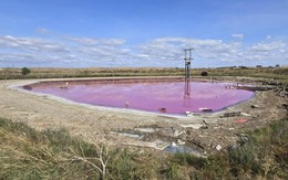Sự thật sốc về hồ nước màu hồng neon tuyệt đẹp