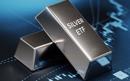 Lãi hơn 2,3 triệu đô chỉ sau 2 tháng, Ngân hàng Trung ương Ả Rập Xê Út cùng nhiều ngân hàng lớn khác chính thức tham gia cuộc chơi của kim loại tương lai