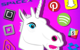 Xuất hiện những ‘gã khổng lồ startup’ trị giá 400 - 500 tỷ USD, tương lai trở thành Nvidia, Alphabet tiếp theo