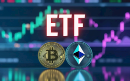 Nhiều tổ chức đầu tư chứng khoán Việt Nam hiện đang nắm giữ hàng trăm tỷ USD Bitcoin, Ethereum