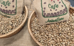 Giá cà phê hôm nay 28-8: Khó tin, Robusta tăng mạnh phiên thứ 6 liên tiếp