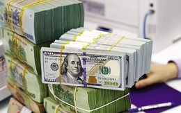 Vì sao tỷ giá liên tục tăng?