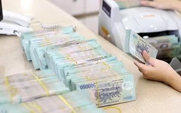 Nhiều doanh nghiệp bị truy thu thuế, phạt tiền tỷ