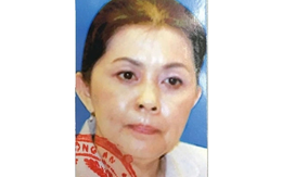 Đào Thị Hương Lan, người đang bị Bộ Công an kêu gọi ra đầu thú là ai?