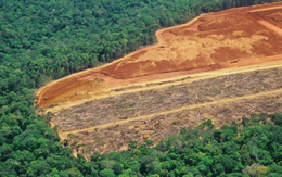 Nghiên cứu mới gây sốc: Hơn nửa triệu ca tử vong trong vòng 20 năm qua vì một vấn nạn quen thuộc