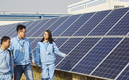 Từ chiến lược toàn cầu đến dẫn dắt mục tiêu Net-zero 2050