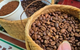 Giá cà phê hôm nay 29-8: Mạch tăng giá bị cắt, Mỹ trồng cà phê