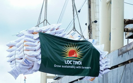 Vì sao Tập đoàn Lộc Trời bị xử phạt?