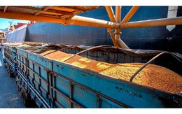 Hàng chục nghìn tấn hàng từ Lào đổ bộ Việt Nam với giá siêu rẻ - Nước ta có diện tích trồng top 30 thế giới vẫn phải chi tiền nhập khẩu