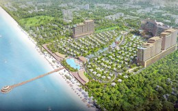 TDG Group tăng vốn điều lệ, khẳng định bước tiến mới trong quý 3/2025