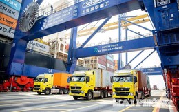 Cảng thông minh tiên của Việt Nam có thành tích ấn tượng, chủ đầu tư muốn được thực hiện thêm các dự án khu công nghiệp, thương mại, logistics