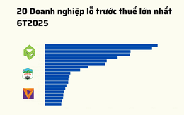 20 doanh nghiệp lỗ lớn nhất 6T2025: Novaland 'vô địch', bất động sản áp đảo, 8 doanh nghiệp lỗ trăm tỷ