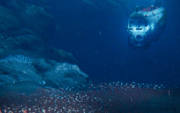 Ở độ sâu 9533 mét dưới biển, các nhà khoa học đã phát hiện ra một quần thể sinh vật siêu lớn, làm đảo lộn nhận thức của con người