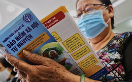 Đóng BHXH hơn 7 năm, làm gì để nhận lương hưu sớm?