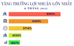 15 công ty tăng trưởng lợi nhuận 'khủng' nhất 6T2025: Đứng đầu là doanh nghiệp của tỷ phú Phạm Nhật Vượng, ngành điện góp mặt nhiều nhất