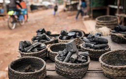 Nga đưa sang Việt Nam hàng triệu tấn 'vàng đen' với giá siêu rẻ: thuế nhập khẩu 5%, Moscow nắm trữ lượng đủ dùng trong 500 năm Nga đưa sang Việt Nam hàng triệu tấn 'vàng đen' với giá siêu rẻ: thuế nhập khẩu 5%, Moscow nắm trữ lượng đủ dùng trong 500 năm