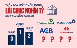 Kết thúc 6 tháng đầu năm, câu lạc bộ ngân hàng lãi chục nghìn tỷ chốt sổ với 8 thành viên