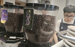 Giá cà phê hôm nay 30-8: Quay lại đà tăng