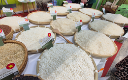 Lại lo đầu ra cho gạo