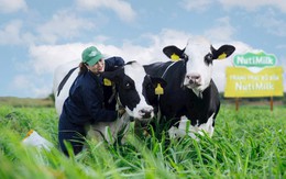 Kỳ vọng bứt phá cho nông nghiệp Gia Lai từ khoản đầu tư lớn của những doanh nghiệp tiên phong