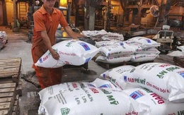 Các doanh nghiệp ngành phân bón, hóa chất làm ăn ra sao nửa đầu năm 2025?