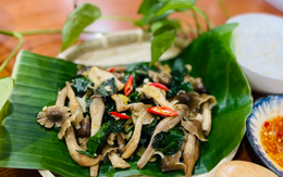 "Báu vật" mọc từ lòng đất giá bạc triệu còn khó mua, ở Việt Nam có nhiều vào mùa mưa: Điều hòa miễn dịch, ngăn ngừa ung thư