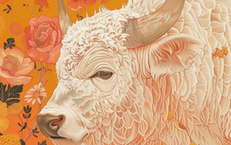 4 con giáp sắp đón loạt tin vui tới tấp, ra cửa dễ gặp được cả quý nhân lẫn Thần tài