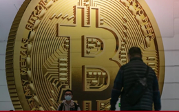 Công nghệ 31/8: Đại học Hong Kong xem xét chấp nhận Bitcoin để đóng học phí