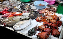 Người bán cá nói thẳng: “4 loại cá cho không cũng chẳng lấy, chỉ người không biết mới mua”