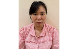 Công an Hà Nội bắt Đặng Thị Hiền