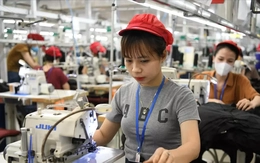 Mỹ áp thuế 20% với hàng xuất khẩu Việt Nam: Dệt may, thủy sản tìm cơ hội mới để giữ thị phần