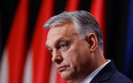 Thủ tướng Hungary thúc giục Ukraine từ bỏ ý định gia nhập NATO