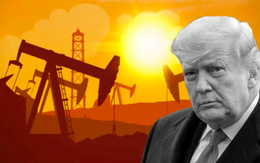 Bị Mỹ đe doạ vì tiếp tục mua dầu Nga, quốc gia châu Á thể quan điểm 'cứng', khẳng định không nhượng bộ khi đàm phán với Washington