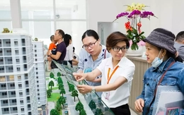 Bảng giá đất áp dụng từ đầu 2026, thị trường có biến động mạnh?