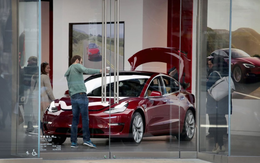 Tesla nhận phán quyết gây chết người: Elon Musk điêu đứng, tương lai robottaxi tự lái vỡ vụn