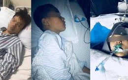 Gia đình 4 người ăn xong ngã lăn ra đất, bác sĩ cảnh báo loại rau "độc hơn cả thạch tín" nhiều người vẫn ăn