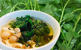 3 loại rau giải nhiệt mùa hè nên có trên mâm cơm mọi nhà trong những ngày nắng nóng cực gắt: Vừa giải nhiệt, bổ máu lại thanh lọc cơ thể