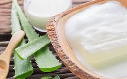 Nha đam là "vị cứu tinh" cho mái tóc yếu, gãy rụng: 5 cách dùng giúp tóc mọc nhiều vô kể