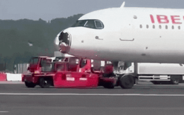 Hi hữu: Chim đâm vỡ mũi, máy bay phải quay đầu hạ cánh khẩn cấp Hi hữu: Chim đâm vỡ mũi, máy bay phải quay đầu hạ cánh khẩn cấp