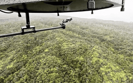 Từ trên trời rơi xuống, hàng chục nghìn cá thể sinh vật “tai tiếng” được thả về rừng: Người Mỹ đang toan tính điều gì?