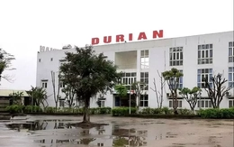 Công an Hà Nội khởi tố một giám đốc người nước ngoài về tội trốn thuế