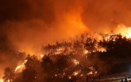 Sóng nhiệt càn quét khắp thế giới, nắng nóng cực đoan xuất hiện nhiều nơi