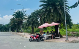 Giá đất nền Hà Nội, Hải Phòng, Quảng Ninh, TP.HCM, Đà Nẵng, Đồng Nai... đang diễn biến ra sao?