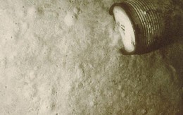 Đưa robot xuống 4.000m dưới đáy biển, phát hiện hơn 3.000 "thứ rất đáng sợ"