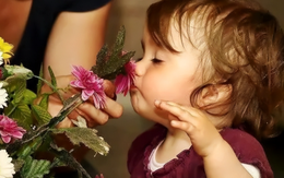 Nghiên cứu mới nhất: Ngửi 7 mùi hương này mỗi ngày giúp cải thiện trí nhớ tới 226% và ngừa bệnh Alzheimer