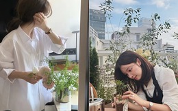 “Chi tiêu lười biếng” đang là xu hướng mới của giới trẻ: Mua hoa ít tiền, ít công chăm mà đẹp cả nhà, tốt cả sức khỏe “Chi tiêu lười biếng” đang là xu hướng mới của giới trẻ: Mua hoa ít tiền, ít công chăm mà đẹp cả nhà, tốt cả sức khỏe