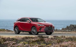 Lexus RX 350h trong mắt kiến trúc sư: Khi chiếc xe cũng trở thành một không gian sống